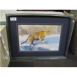 tiger In The Snow Print