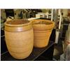Image 1 : 3 Plant Pots