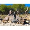 Image 4 : South Texas Trophy Hunt - Ox Ranch (Uvalde County, Texas)