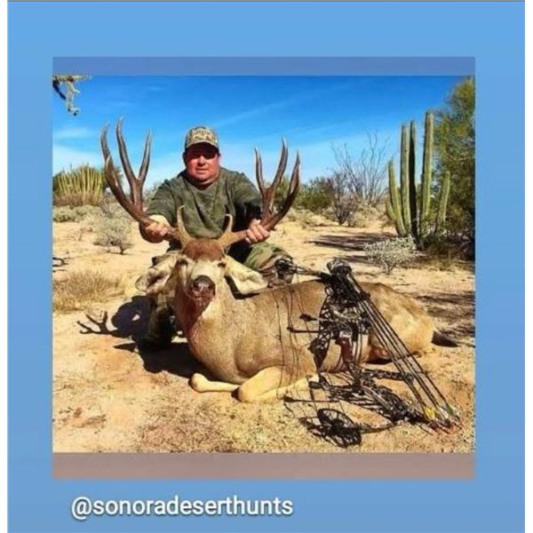 Mule Deer - Sonora Old Mexico