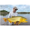 Image 4 : Argentina - Golden Dorado Fishing, Wild Boar, Exotics