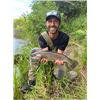 Image 2 : 5-Day Outfitted Drop Camp Wilderness Fishing Trip for Four Anglers