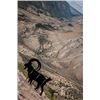 Image 2 : Branded Rock Canyon Ranch $5,000 Shooting Course Credit
