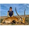 Image 1 : 7-day Safari in South Africa with East Cape Safaris