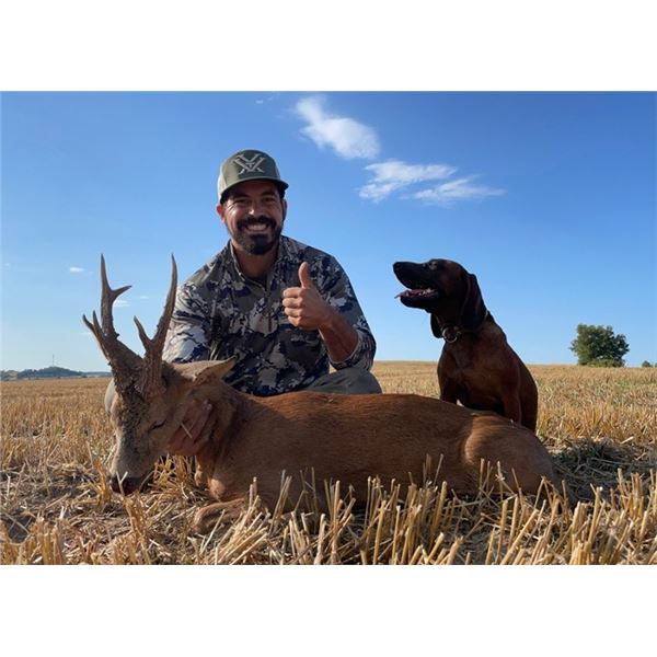 Spanish Roe Deer Hunt and Tasting Experience
