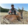 Image 2 : Spanish Roe Deer Hunt and Tasting Experience