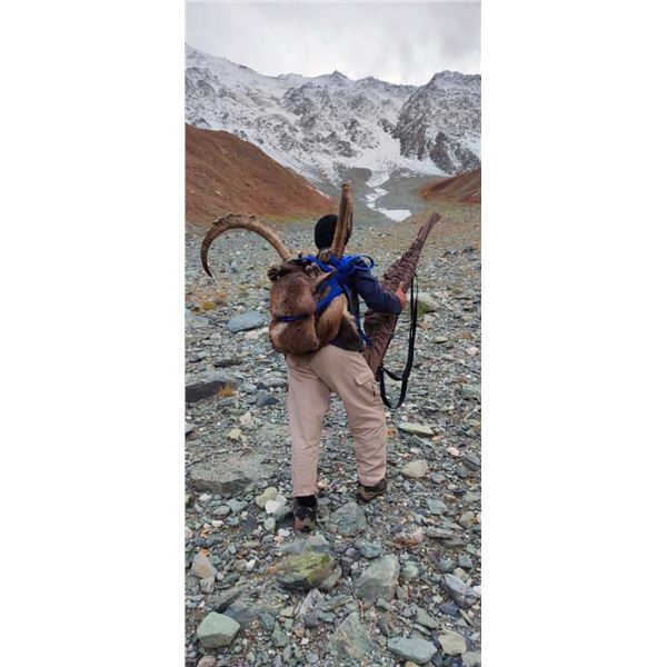Tajikistan Mid-Asian Ibex Hunt