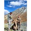 Image 2 : Tajikistan Mid-Asian Ibex Hunt