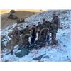 Image 3 : Tajikistan Mid-Asian Ibex Hunt