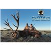 Image 1 : Argentina Red Stag Hunt for Two Hunters