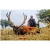 Image 2 : Argentina Red Stag Hunt for Two Hunters