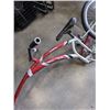 Image 2 : TRAIL A BIKE