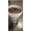 Image 1 : APPROX 20LBS OF BARRY CALLEBAUT CHOCOLATE