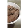 Image 3 : APPROX 20LBS OF BARRY CALLEBAUT CHOCOLATE