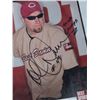 Image 2 : AUTOGRAPHED PHOTO OF CINCINNATI REDS ROB DIBBLE