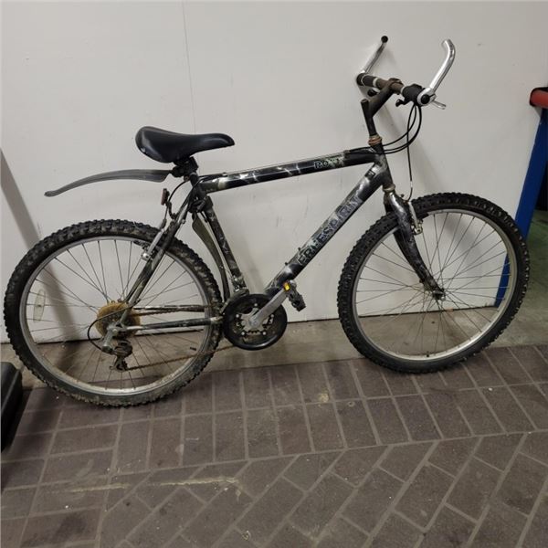 GREY FREE SPIRIT BIKE