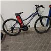 Image 1 : BLUE NAKAMURA BIKE