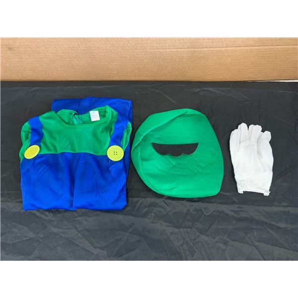 Luigi Costume Childs Large