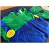 Image 2 : Luigi Costume Childs Large