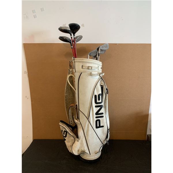 Top Flite SD Golf Club With Ping Bag 11 Pcs Set