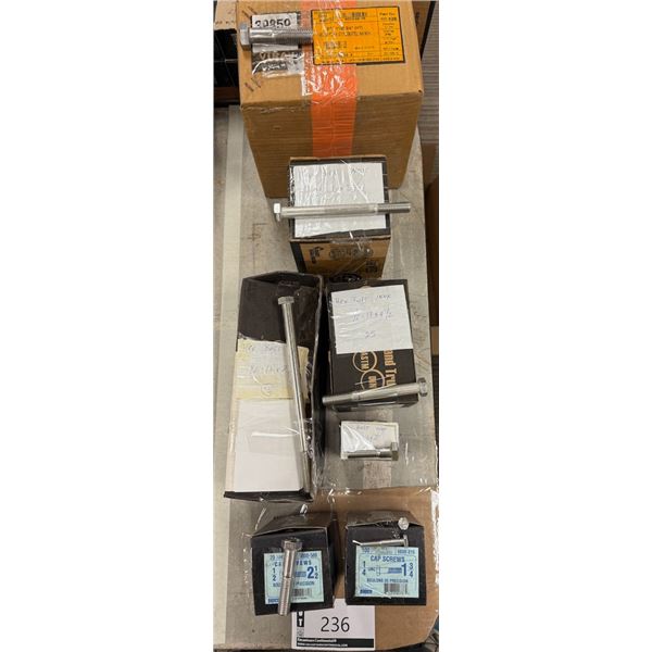 LOT DE 200+ BOULONS INOX ASSORTIS  (VOIR PHOTO)