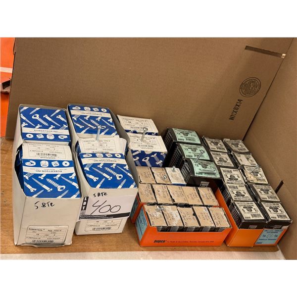LOT DE 3000+ VIS AUTO PERCEUSE TÊTE CARRÉE EN ZINC ASSORTI
