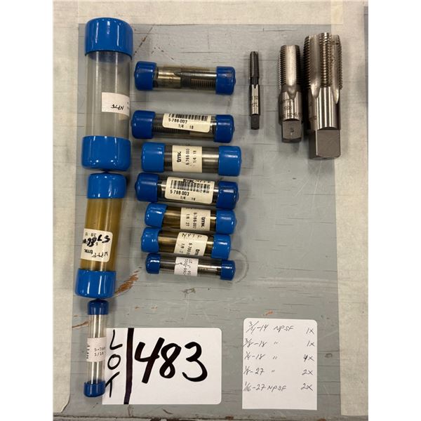 LOT DE 10 TAPS NPSF ASSORTIS