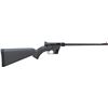 Image 1 : HENRY U.S. SURVIVAL AR-7 22LR 16.125"