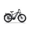 Image 1 : Himiway D5 Pro Electric Bike