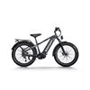 Image 1 : Himiway D5 Pro Electric Bike