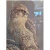 Image 2 : Robert Bateman Print A