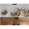 Image 6 : Collector Plates A