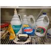 Image 11 : Cleaning supplies, Iron  A