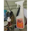 Image 6 : Cleaning supplies, Iron  A