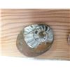 Image 2 : Ammorites Fossil Stones A