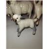 Image 3 : Sheep Collection A