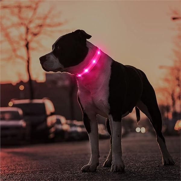 2 Masbrill LED Light-Up Dog Collars/Safety Collars - Size Small (See Size Chart) Pink - Brand New
