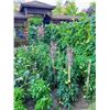 Image 3 : 2PCS Fake Owl Decoy Lawn/Garden Decor Ornaments for Deterring/Scaring Birds - 10" Size - New