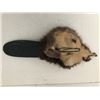 Image 4 : Beaver SFX Tail/ Hertz Commercial