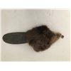 Image 1 : Beaver SFX Tail/ Hertz Commercial