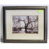 BLACK & WHITE FRAMED PICTURE 24X18 INCH - ESTATE