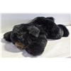 Image 1 : BLACK TEDDY BEAR