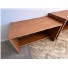 Image 3 : 2 shelves