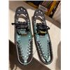 Image 1 : Snow shoes