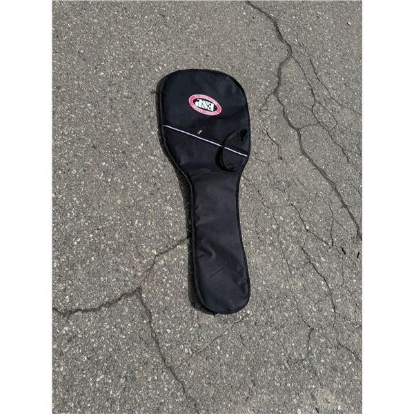 Guitar case