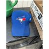 Image 1 : Blue Jays cap