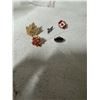 Image 1 : Pins