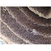 Image 11 : Lot of carpet see all pictures