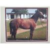 Image 8 : Qty 3 Framed Horse & Racing Photographs, Misc Sizes