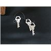Image 8 : Leather Travel Case w/ Lock & Keys 29" x 18" x 9"